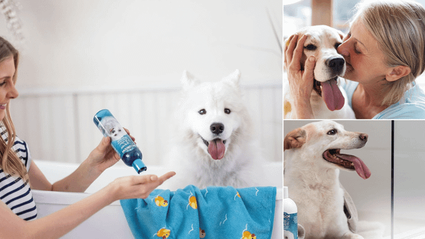 Shampoo For White Dogs 