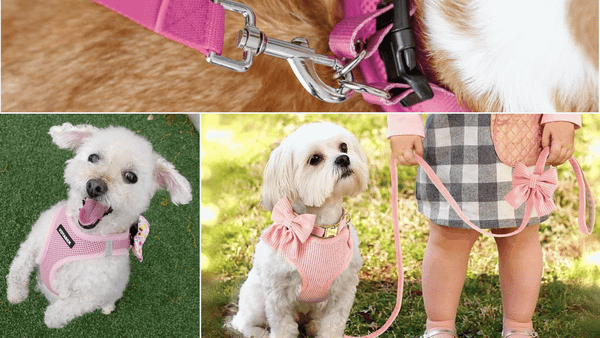 Pink Dog Harness