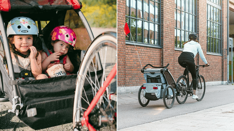 Bike Stroller