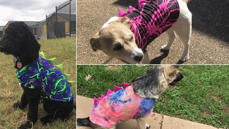 Dog Dragon Costume