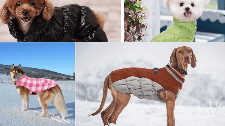 Dog Puffer Jacket