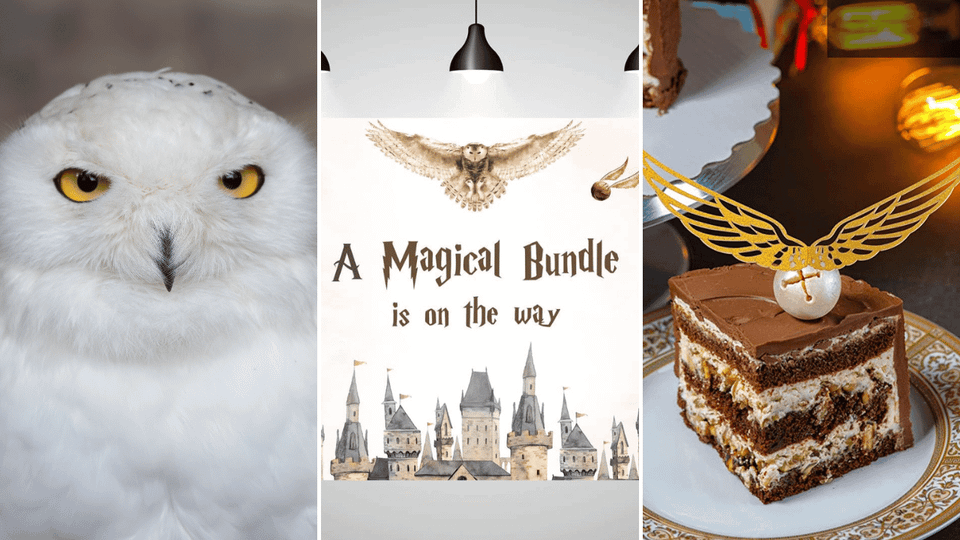 Harry Potter Baby Shower