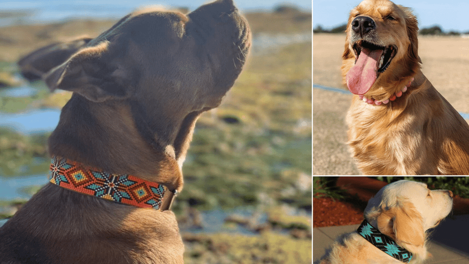 Beaded Dog Collar