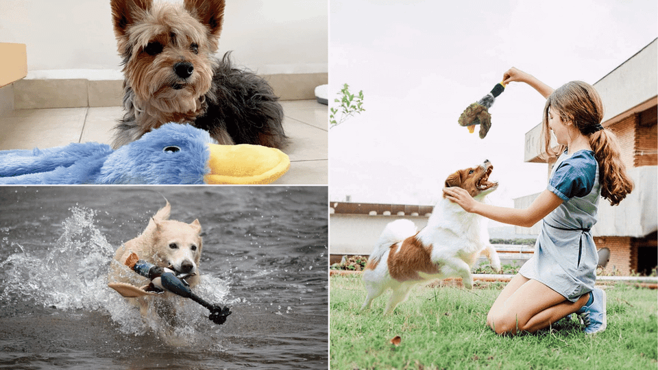 Duck Dog Toy
