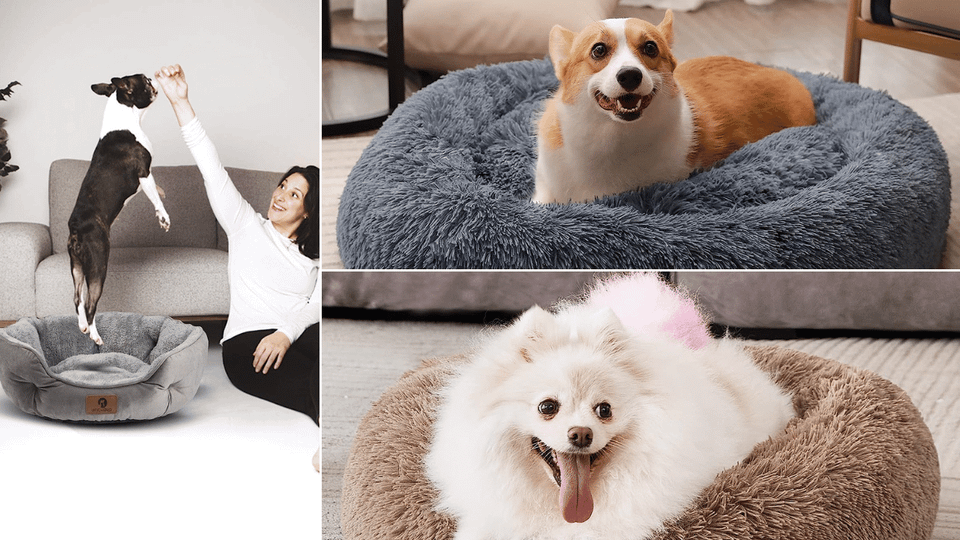 round dog bed