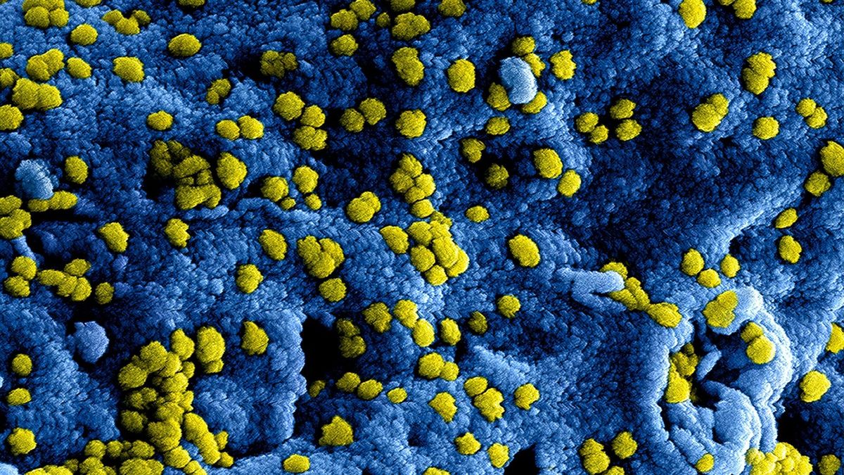 Flesh-Eating Nightmare: Japan's Battle Against a Silent Killer