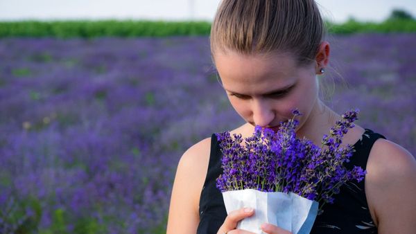 The Smell Report: How Your Nose Rules Your World (and What to Do About It)