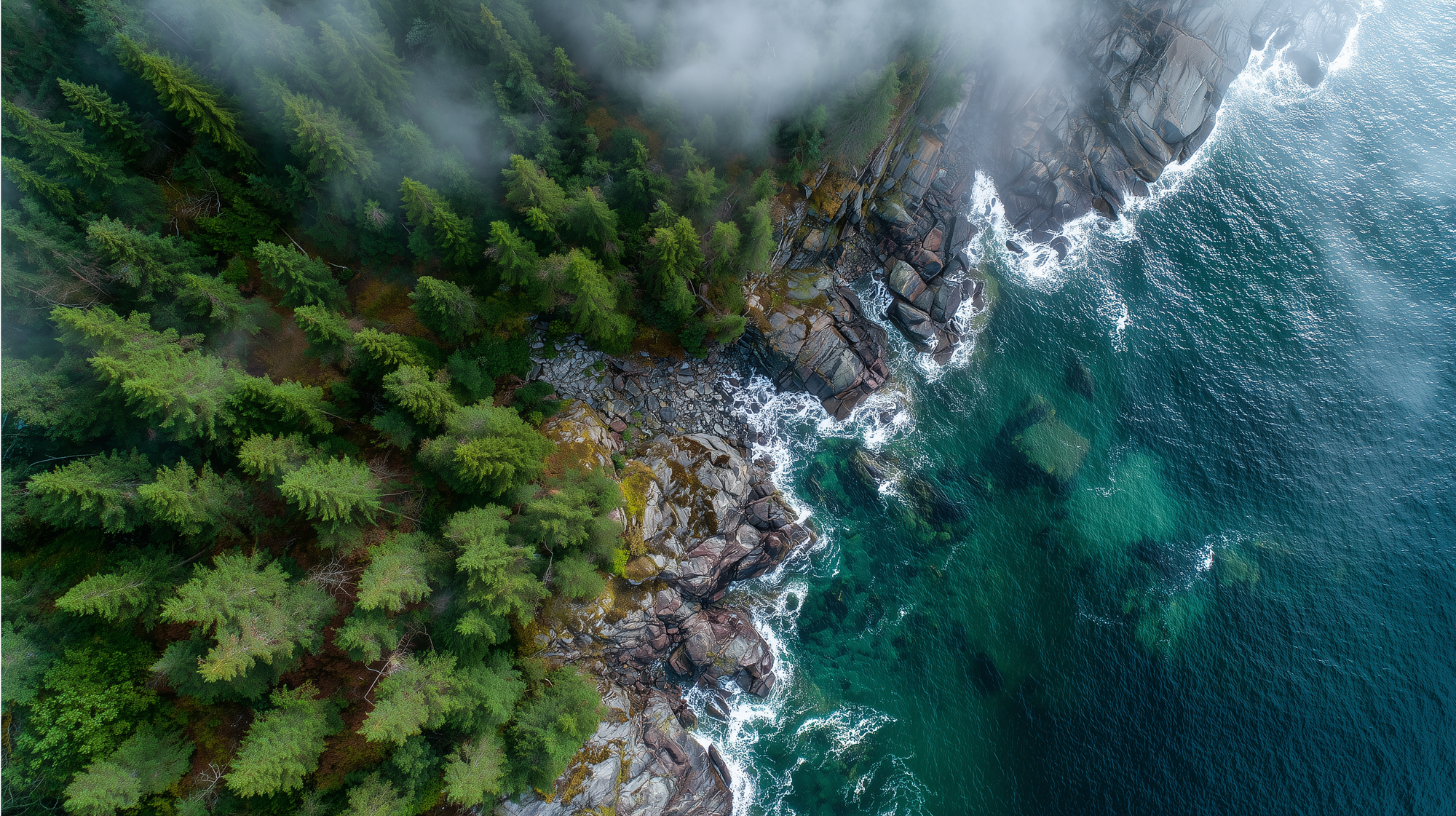 aerial view of Norwegian coastline with pine trees and rocks and green water