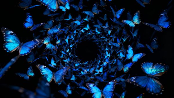 Yesterday's Image (20260329)