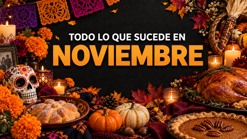 TODO LO QUE SUCEDE EN NOVIEMBRE 2026