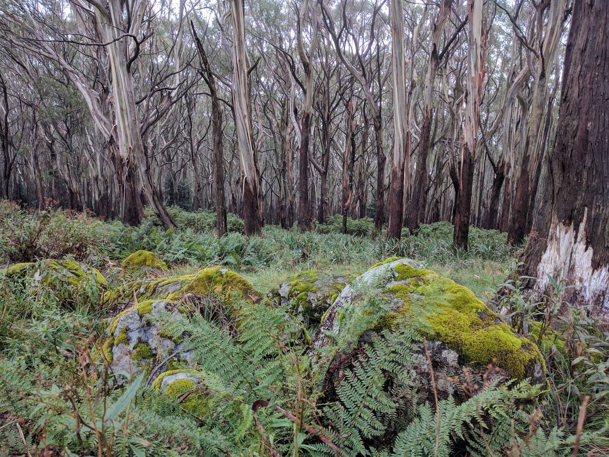 Acknowledgement of Traditional Owners