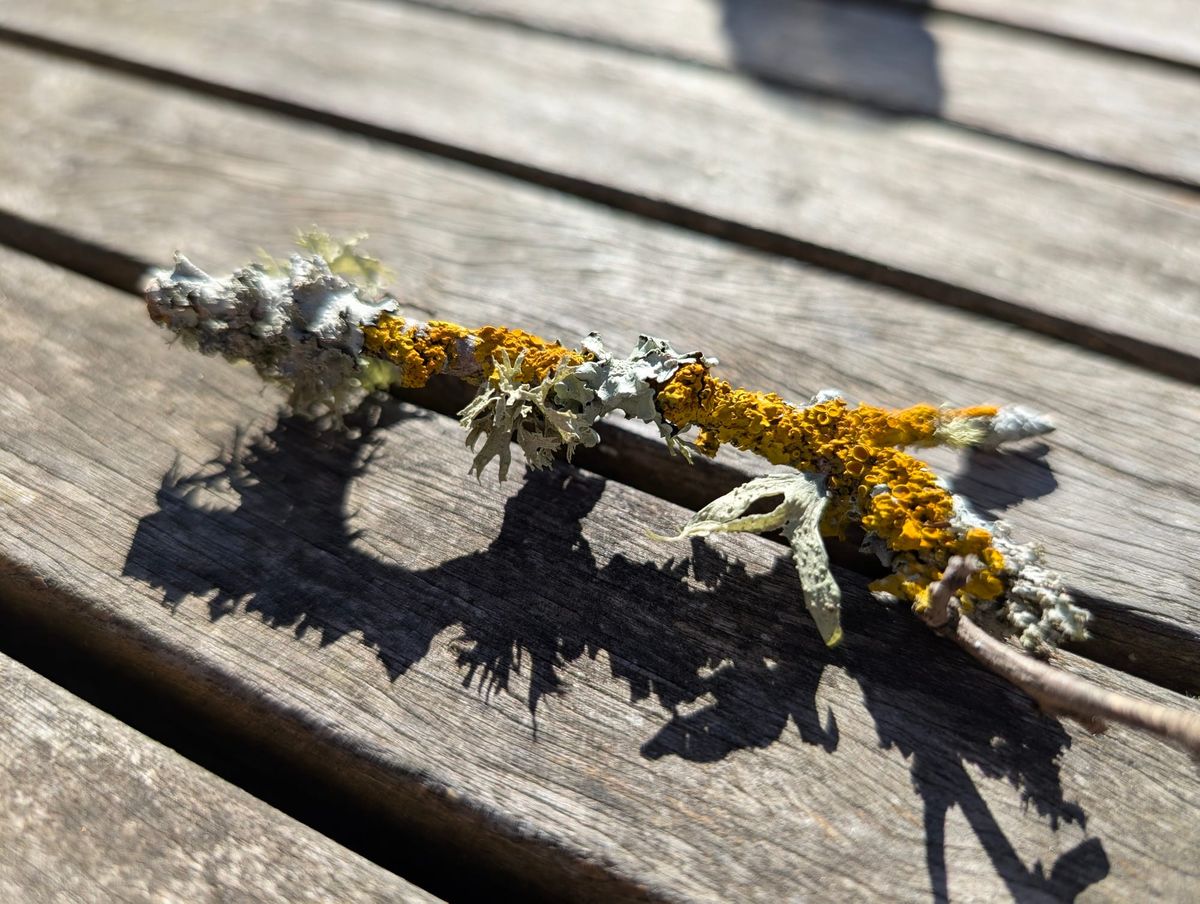 Update: Ecology of work, Europe & active experiments