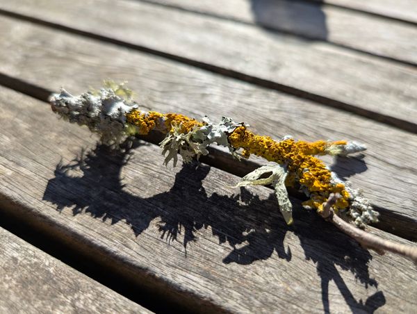 Update: Ecology of work, Europe & active experiments