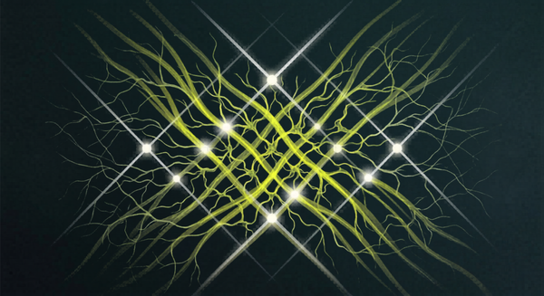 The Meshwork of Relational Infrastructure