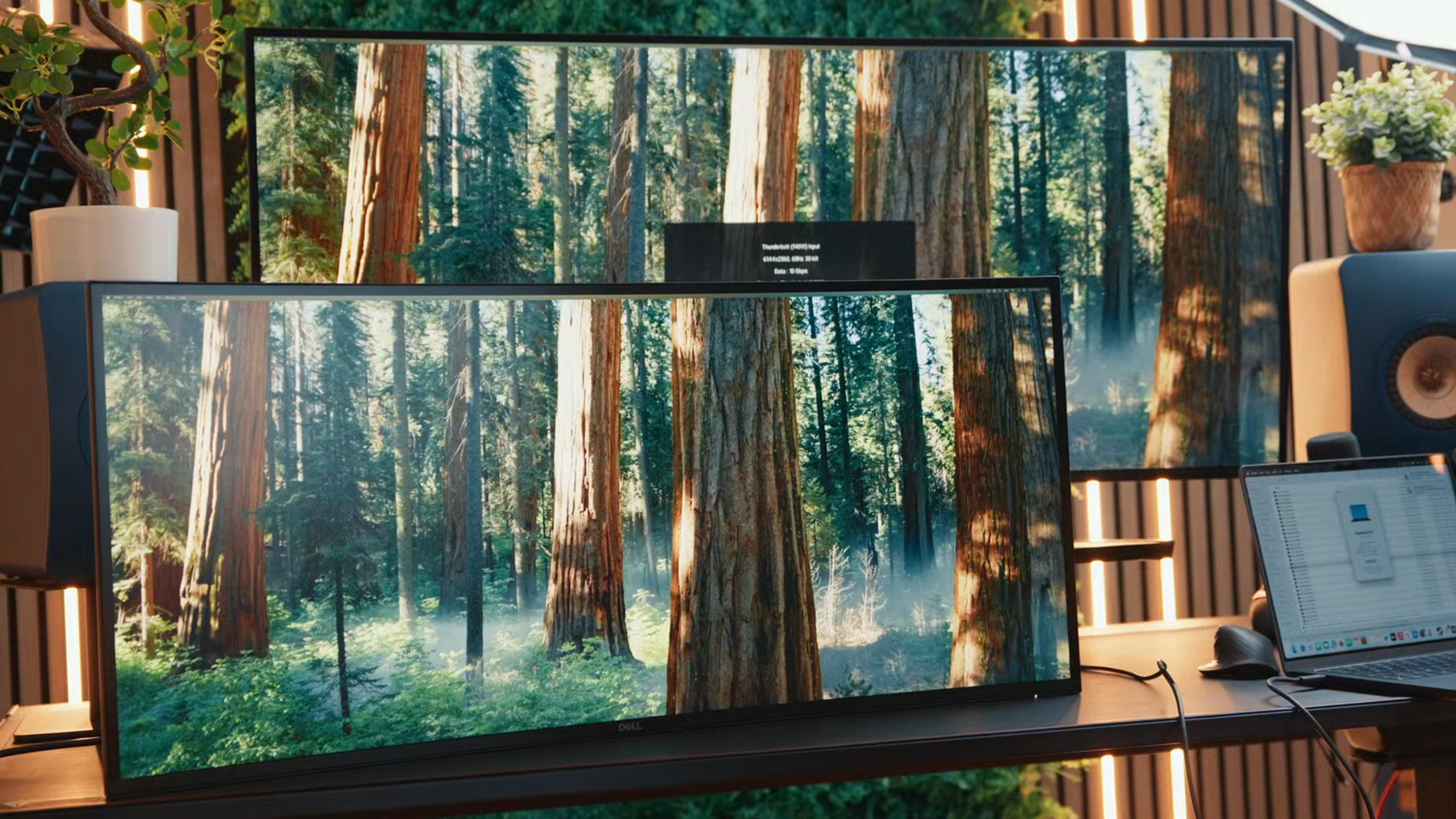 Picture Quality and the Brightness Issue