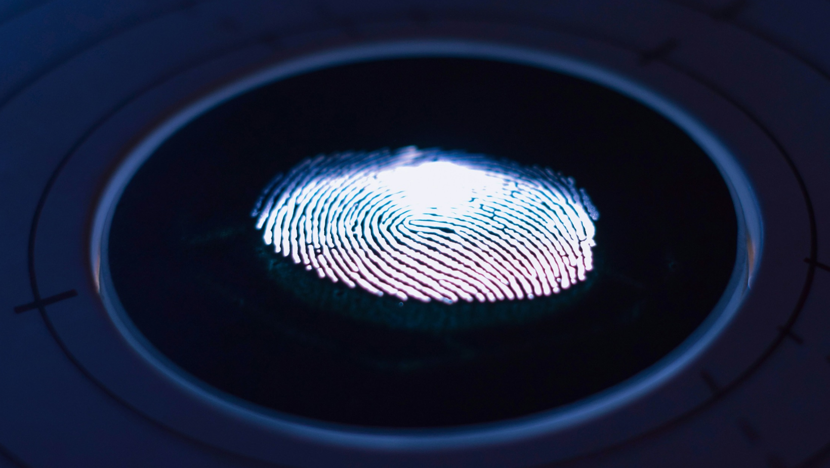 Touch ID feels right at home on a foldable