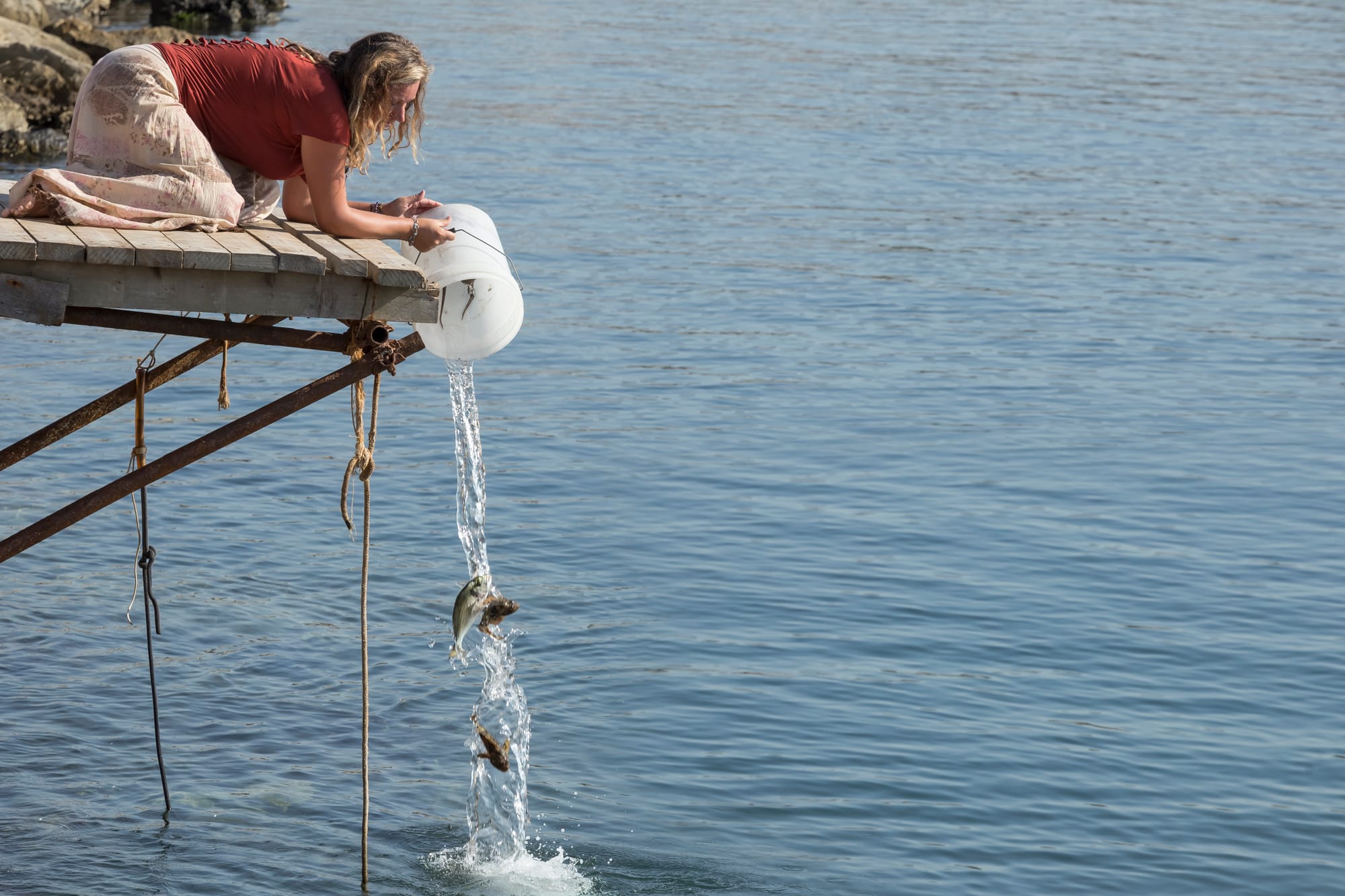 Tiziana Pers, "Liberi tutti"