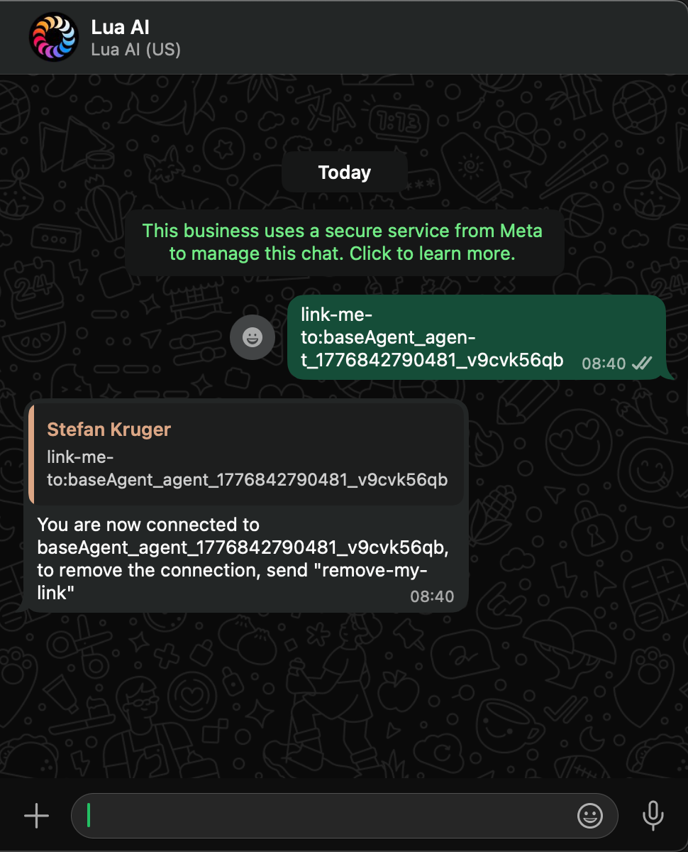 WhatsApp conversation with Lua AI agent