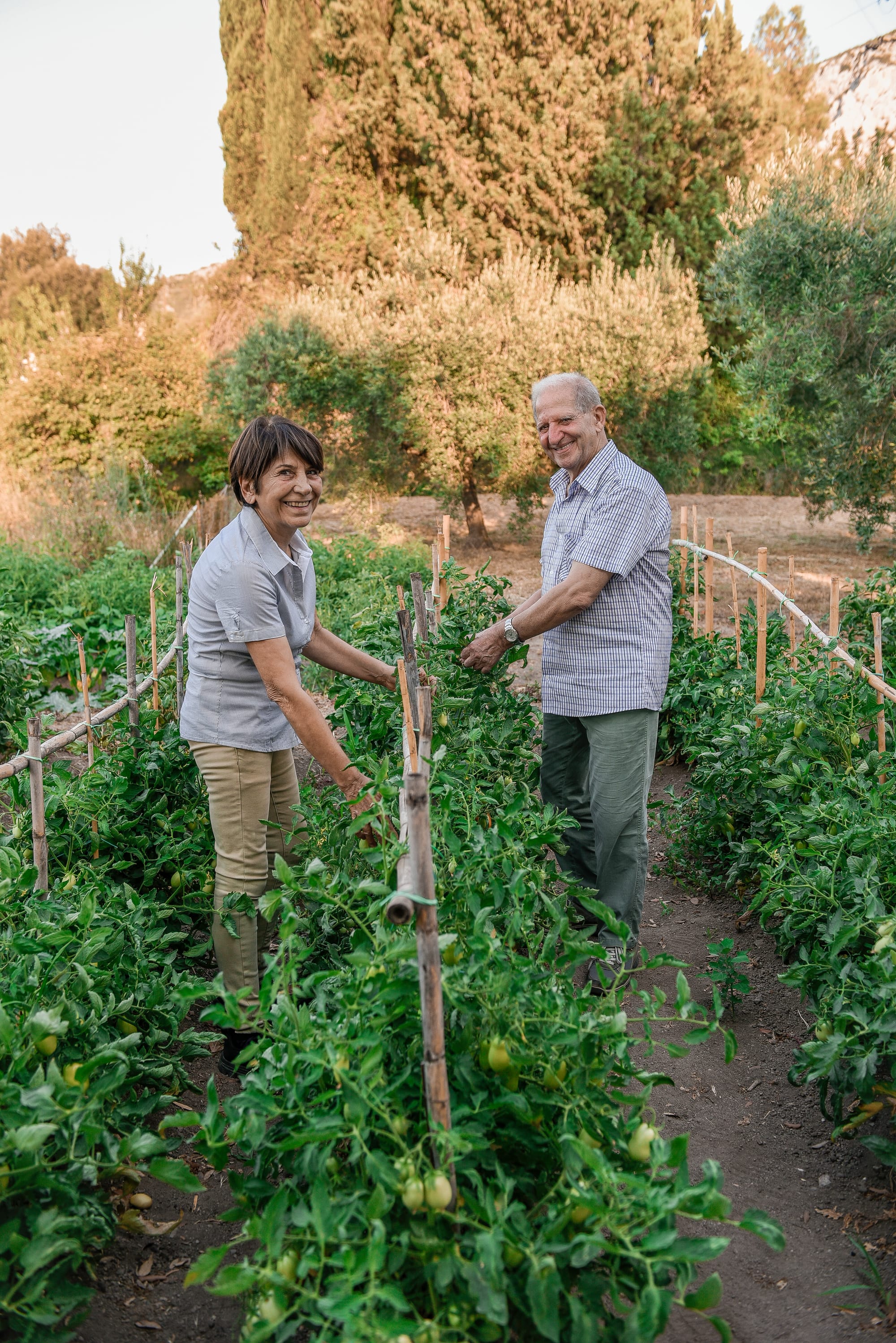 Guthiddai_CreditGuthiddai_vineyards (4)
