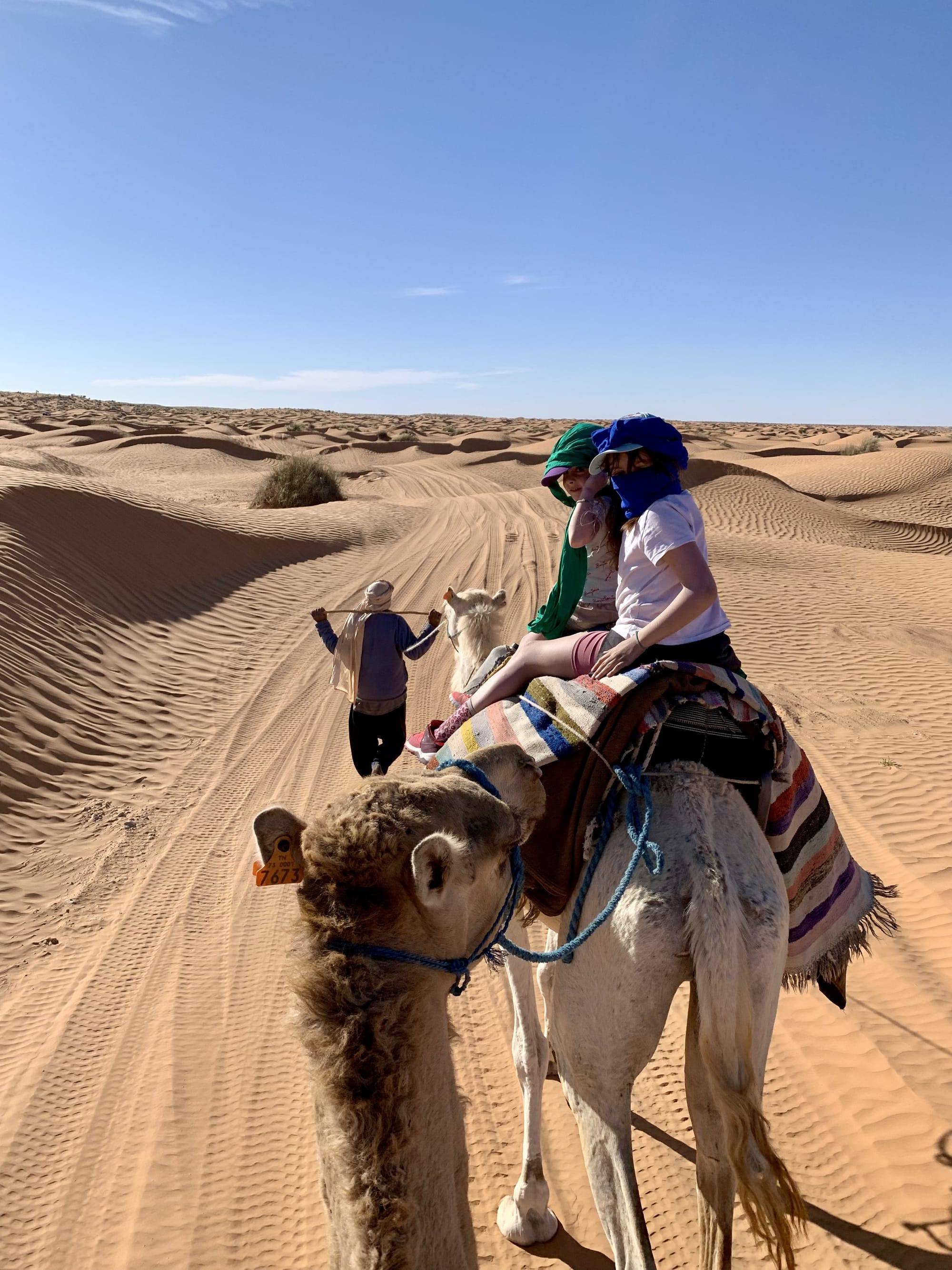 MehareeTunisia_CreditPierreLafont_CamelRiding