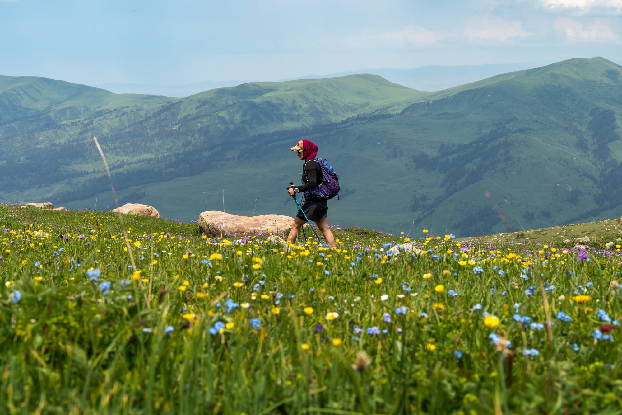 Jyrgalan_CreditLessismorememories_Hike_Flowers__1_