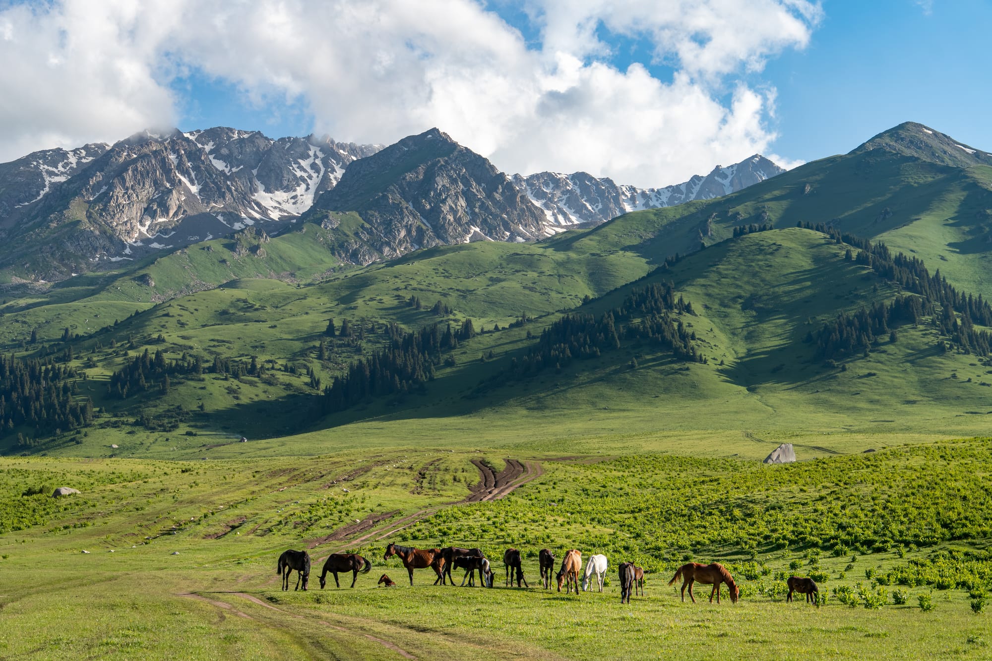 Jyrgalan_CreditLessismorememories_Horses_Mountains__1_
