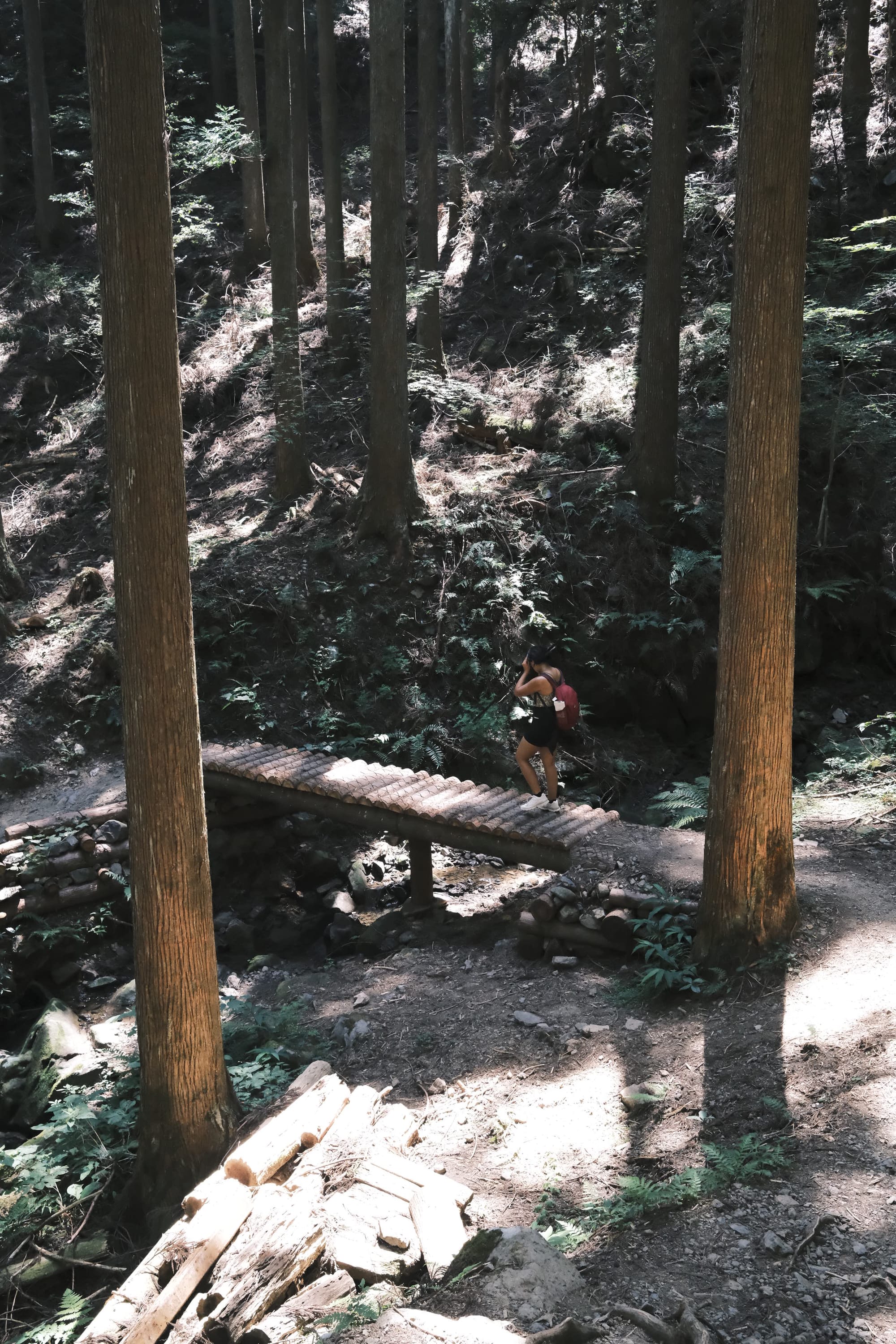 KumanoKodo_CreditRileySabo_Hiking