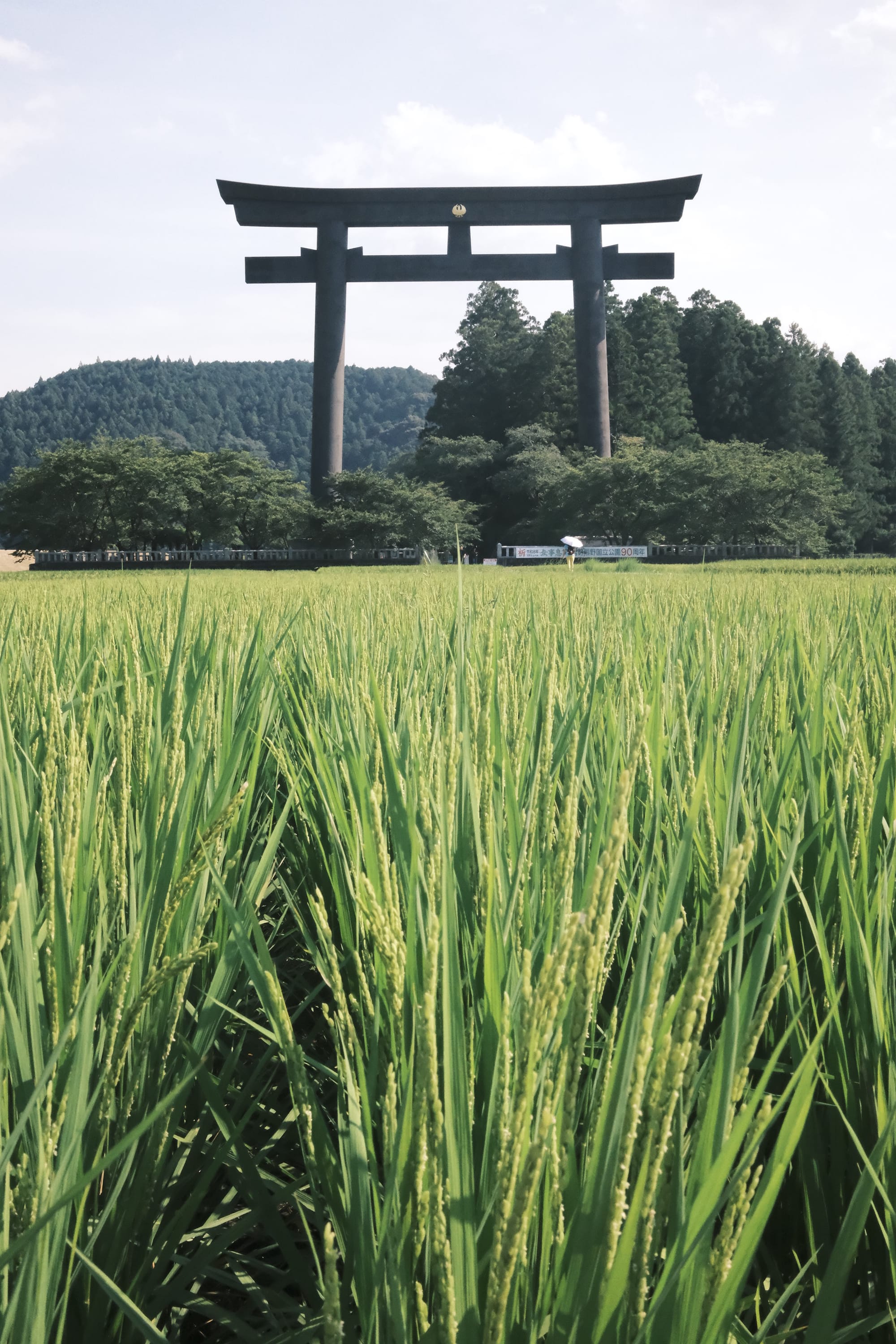 KumanoKodo_CreditRileySabo_Shrine_grass