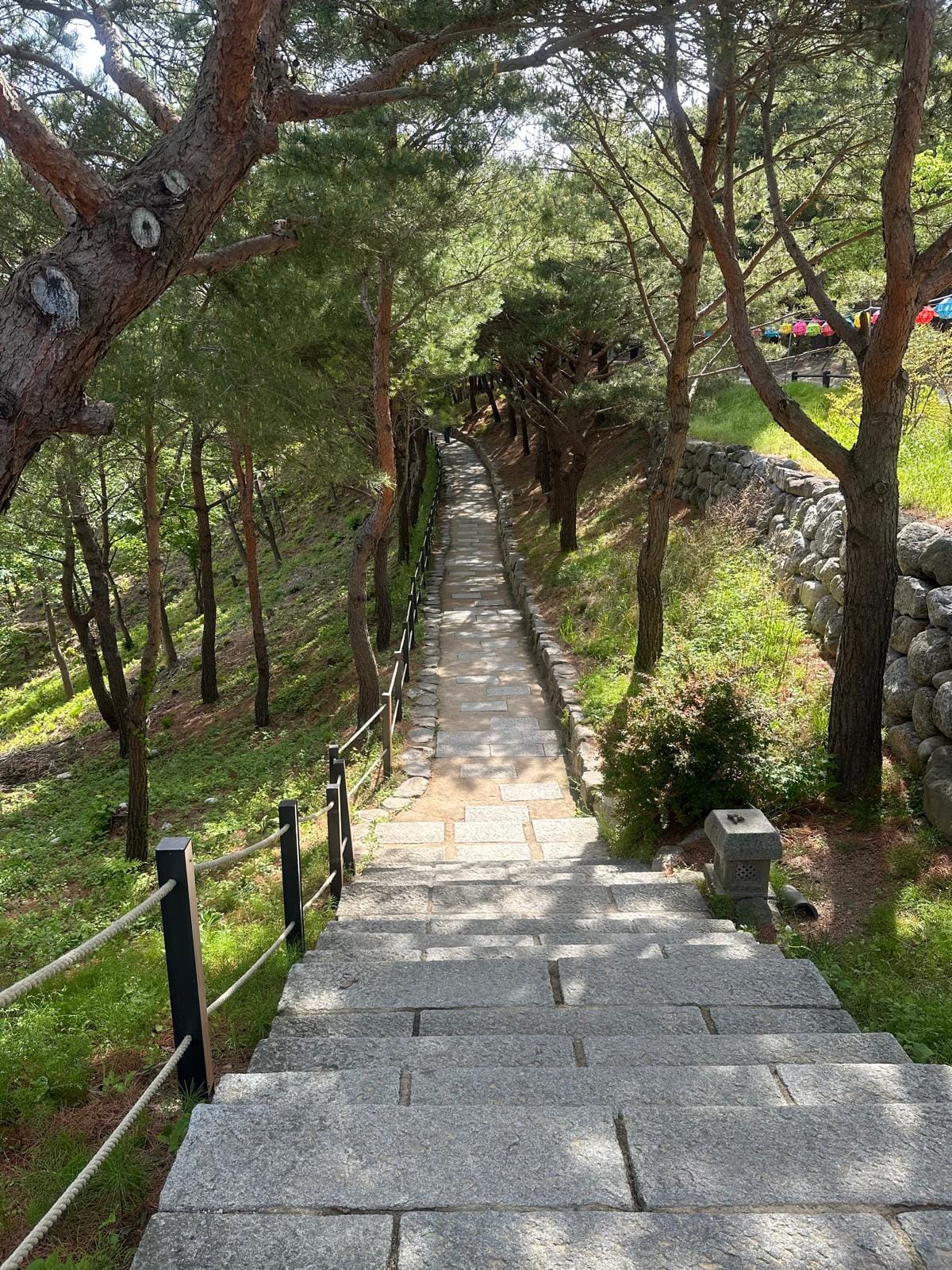 Naksansa_CreditManonBanroques_Forrest_Path Waldweg mit Steintreppe, Naksansa Tempelgelände