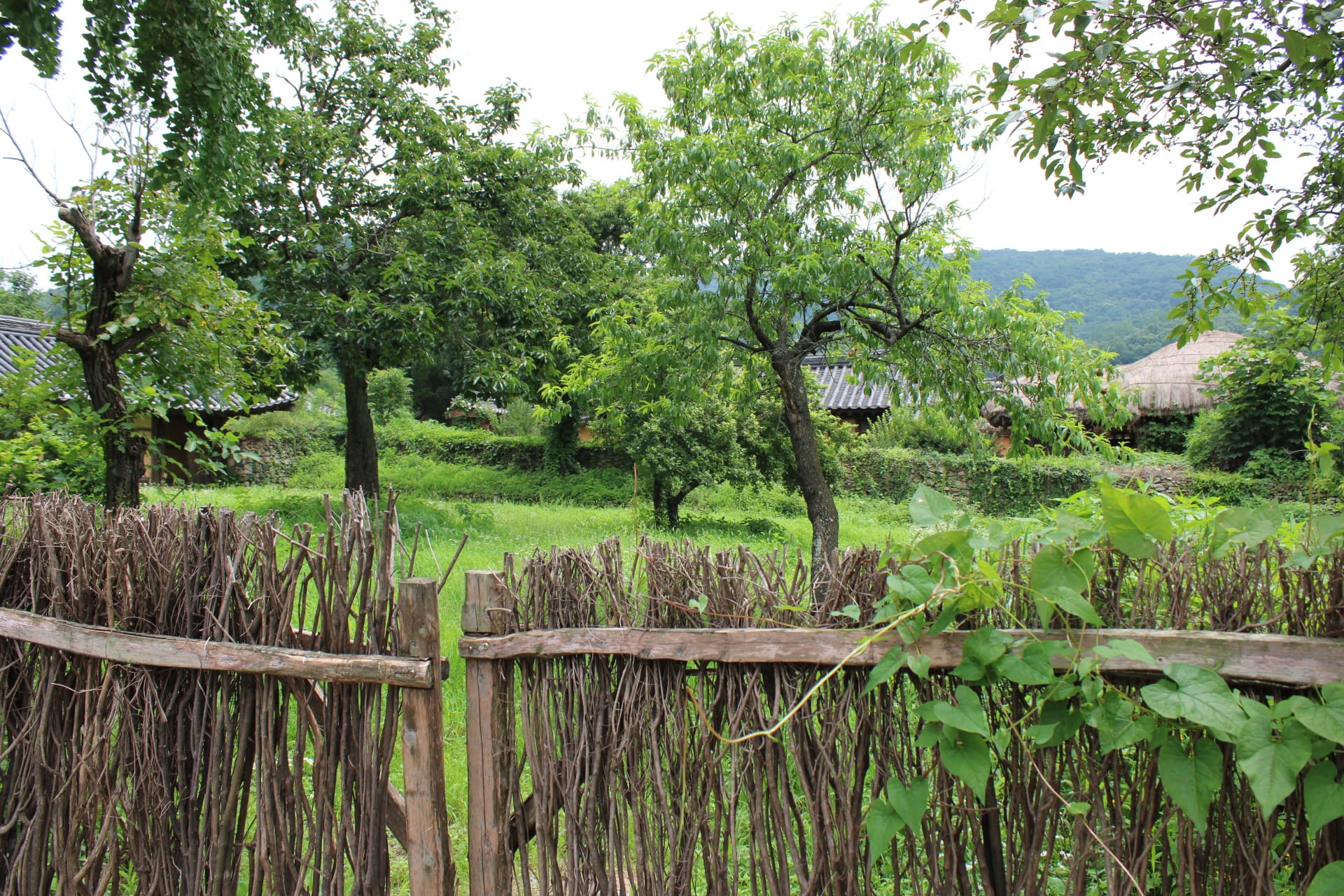 OeamFolkVillage_CreditAsheyWhitten_Fence Woven wooden fence, Oeam Folk Village