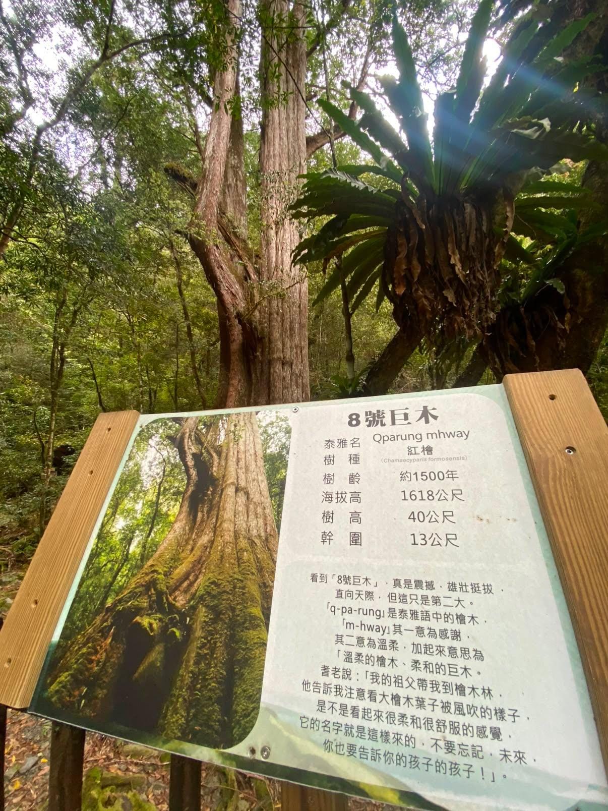 Smangus_CreditCarolMurpi_Sign