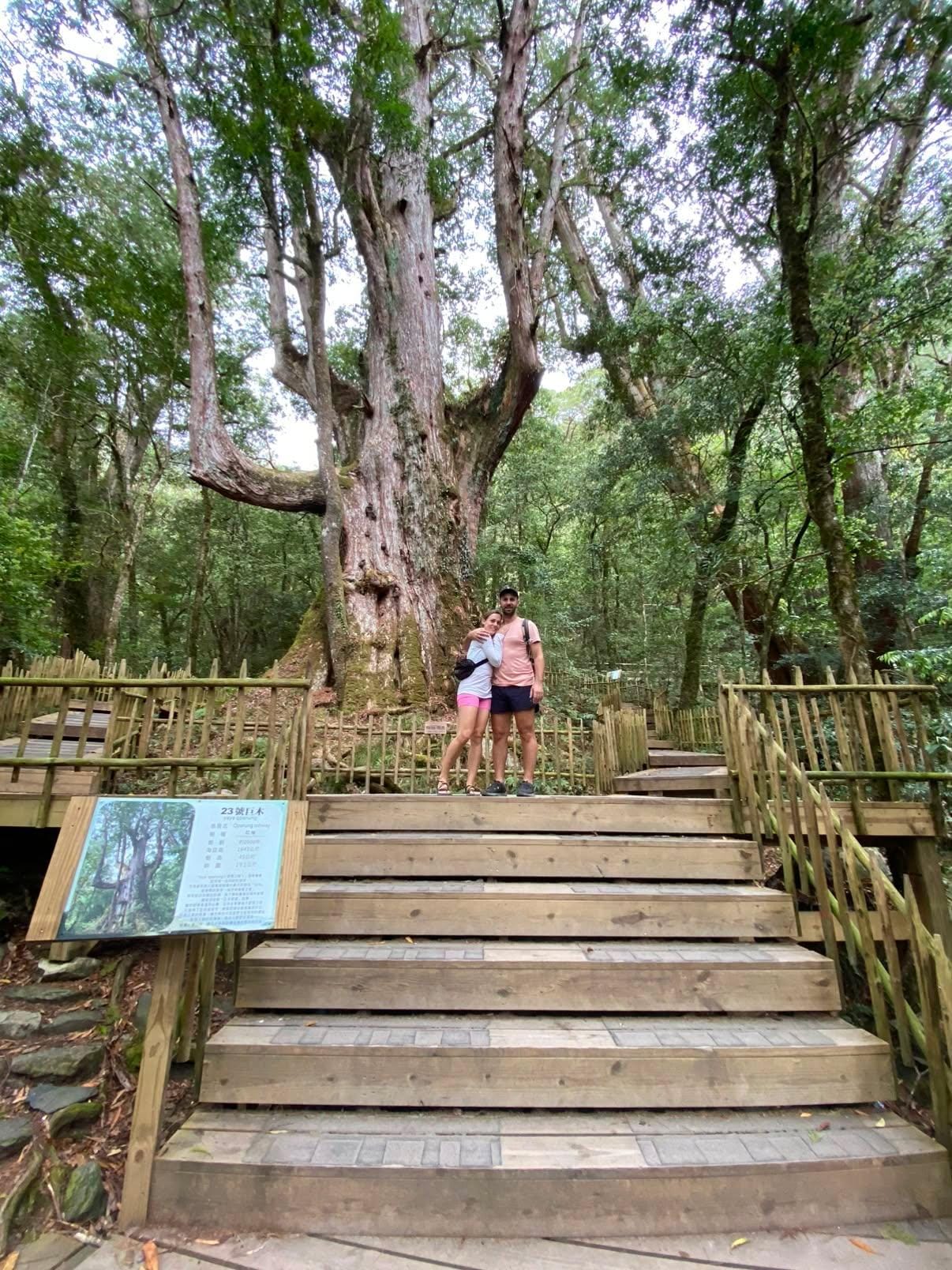 Smangus_CreditCarolMurpi_Tree_People