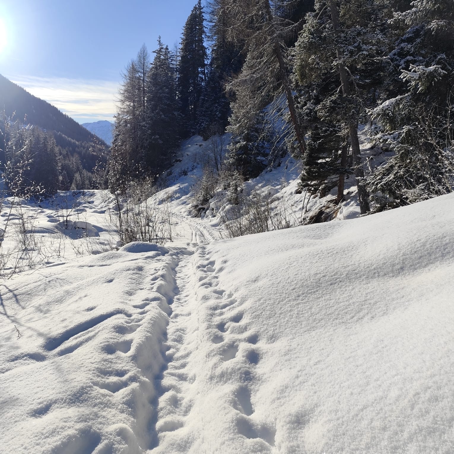 HofZuort_CreditHofZuort_Winter_03