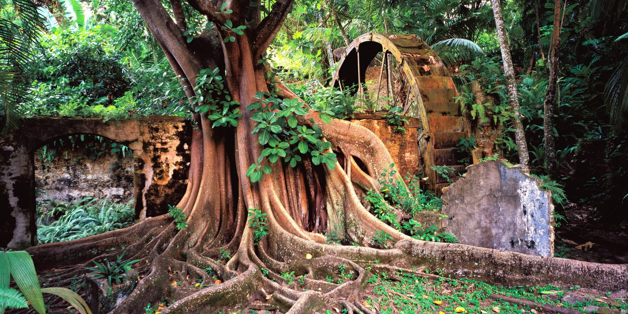 Balenbouche — A Living Museum