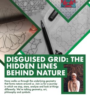 DISGUISED GRID: THE HIDDEN LINES BEHIND NATUR