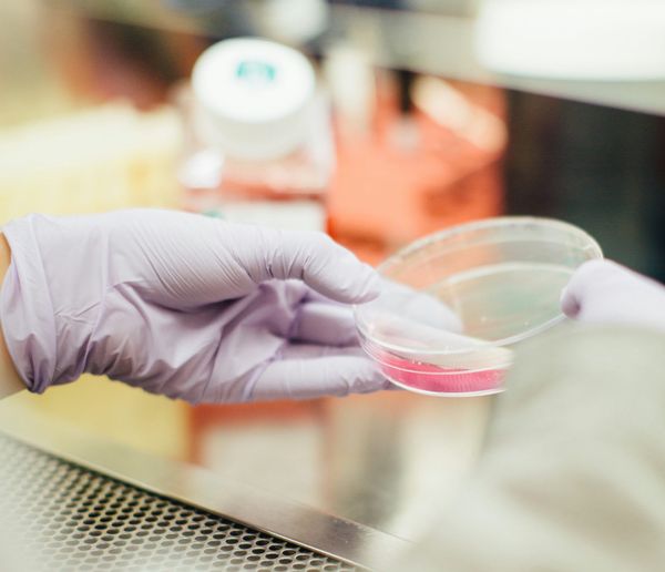 You’re Not Just a Practitioner - You’re a Translator