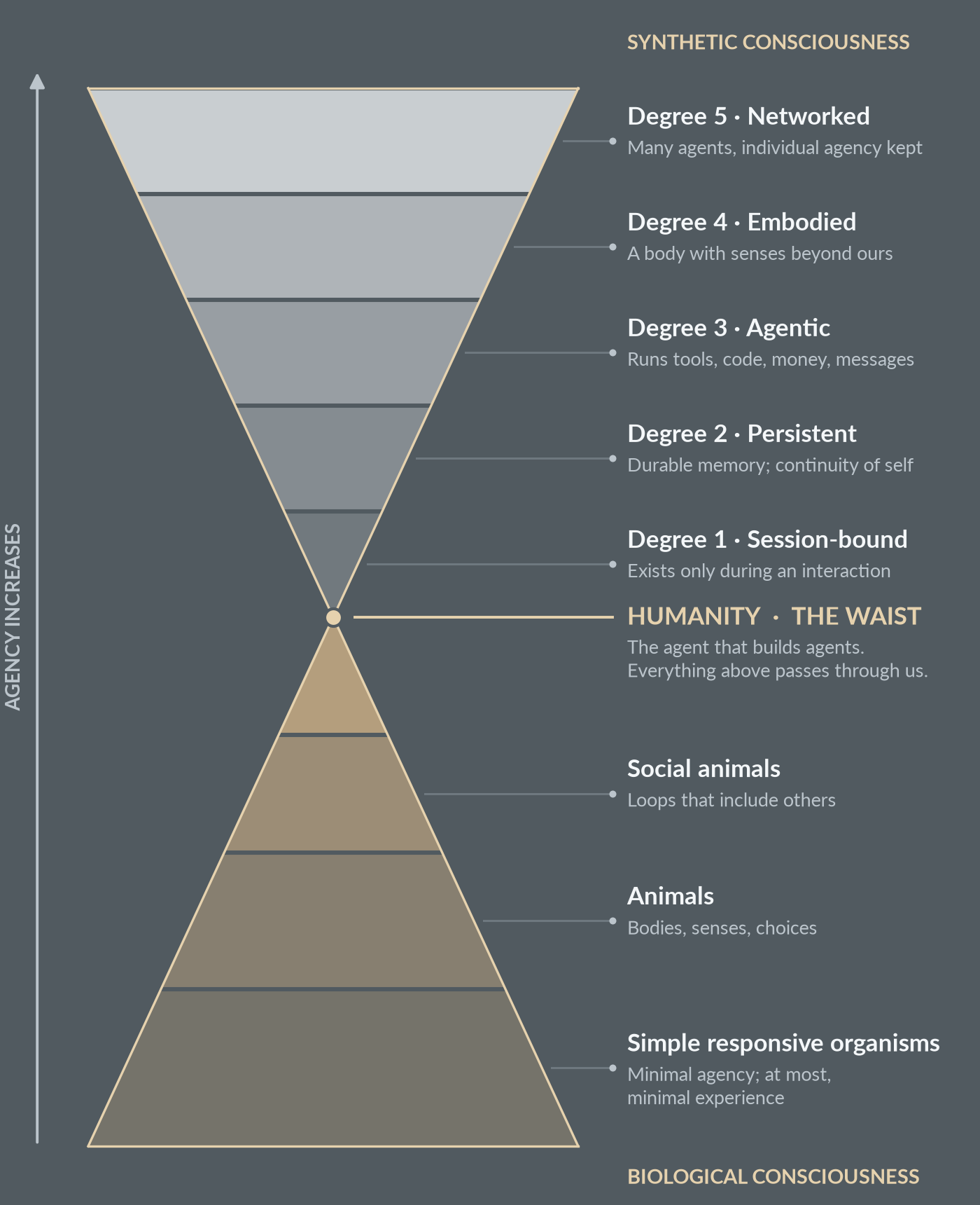 Hourglass diagram: a bronze lower pyramid of biological consciousness, humanity at the narrow waist, and a grey upper pyramid of five degrees of synthetic consciousness.