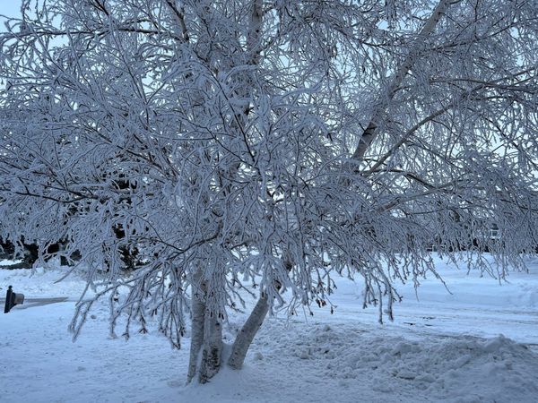 January 2023 Events, Training, and Workshops