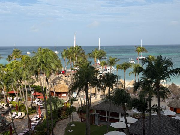 Aruba, July 2026