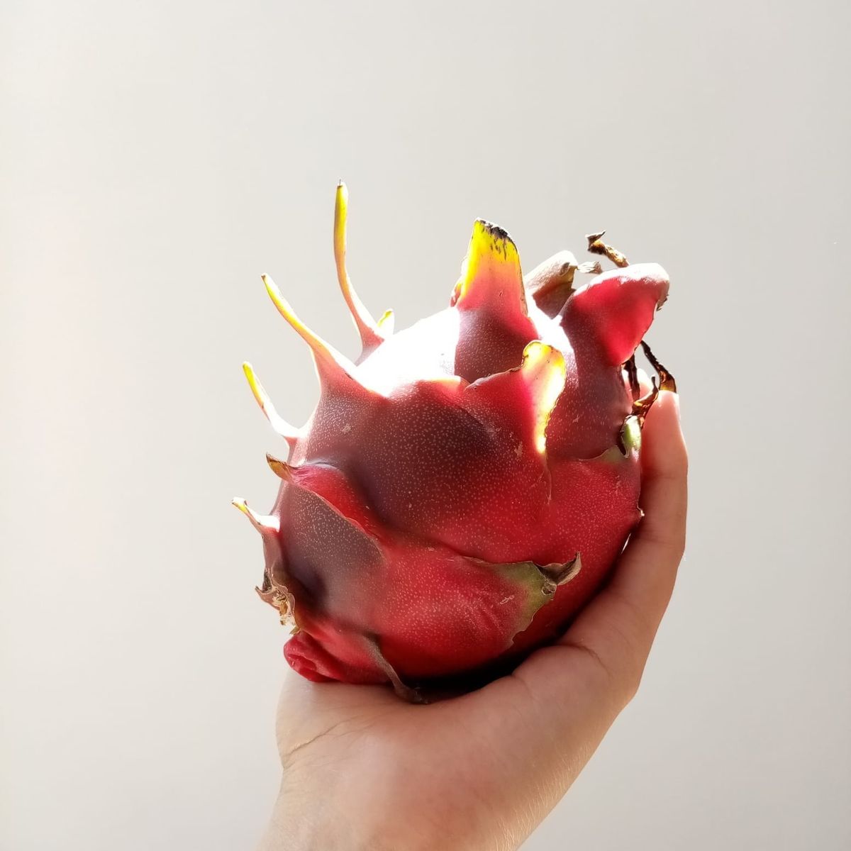 Moving forward | Pitaya Letter 12.