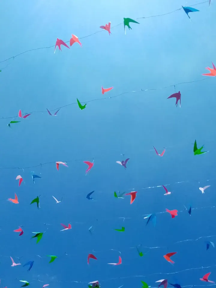 paper birds and the blue sky