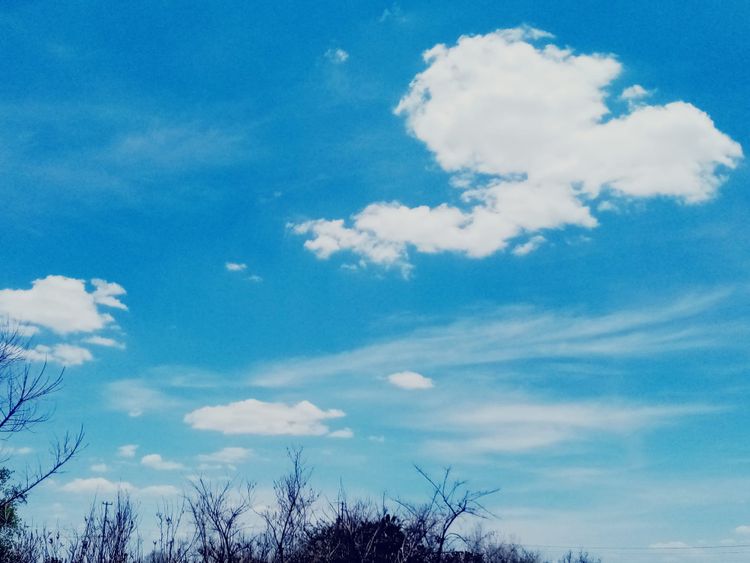 Sunlight Stories No. 2 | Tiny and Giant Steps