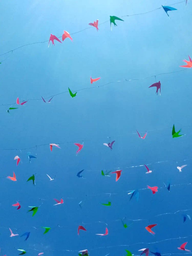 paper birds and the blue sky