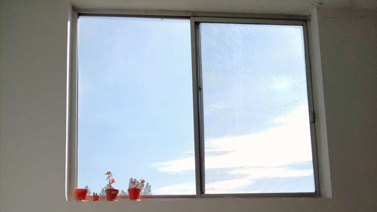 Sunlight Stories No. 5 | Waking up with the sunrise.