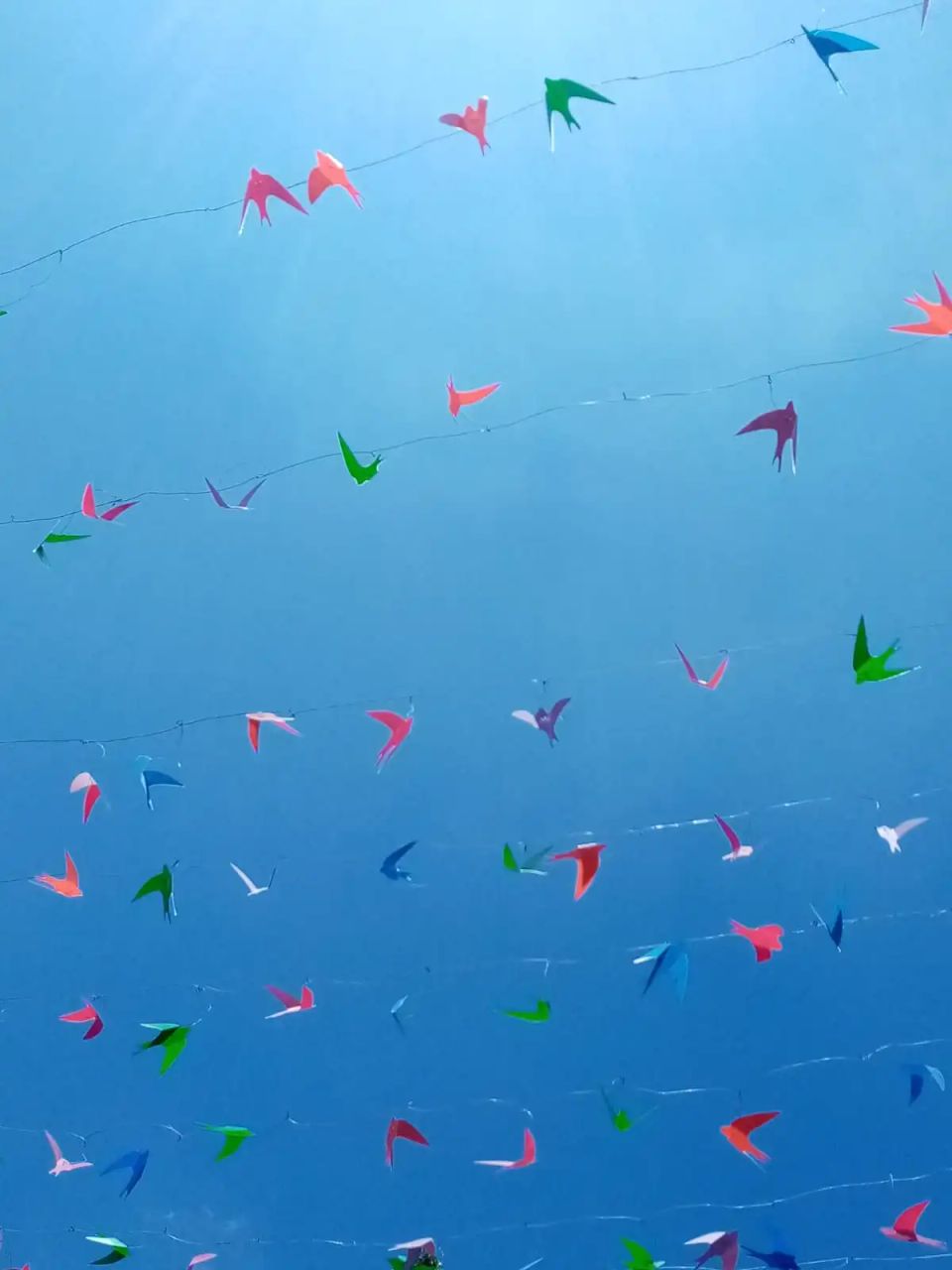 paper birds and the blue sky