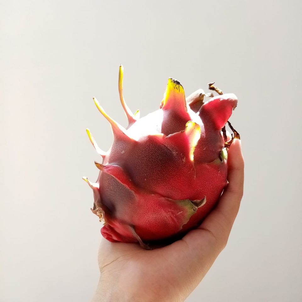 Moving forward | Pitaya Letter 12.