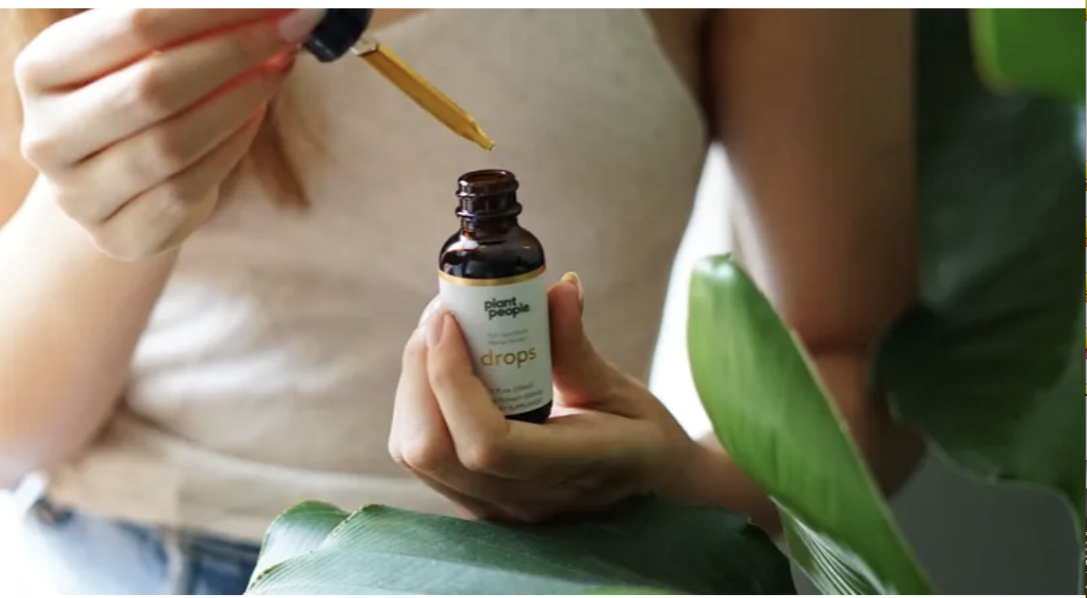 Don't Let Holiday Season Stress You Out... 😞