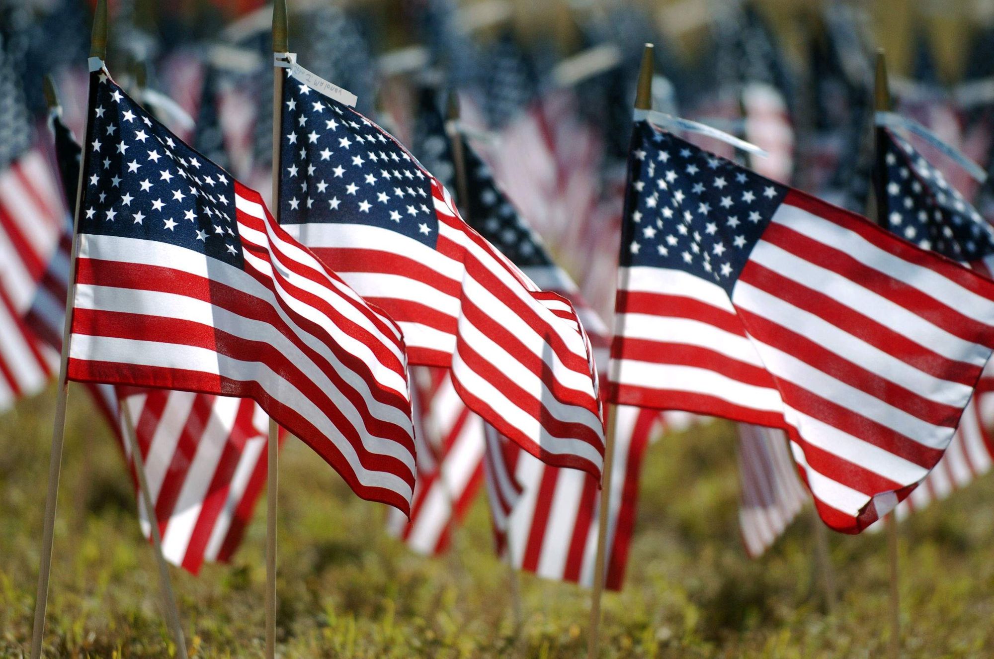 Lolli's Memorial Day Weekend Stacking Sats Guide 🍭