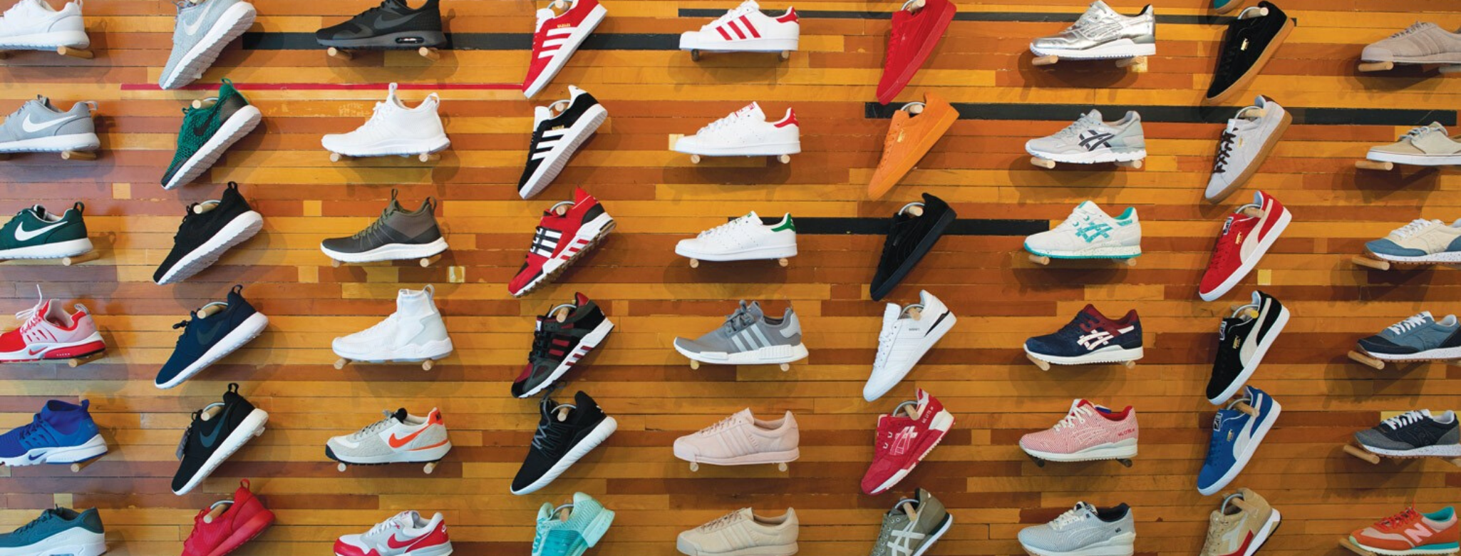 Lolli’s Ultimate Shoe Guide 👟