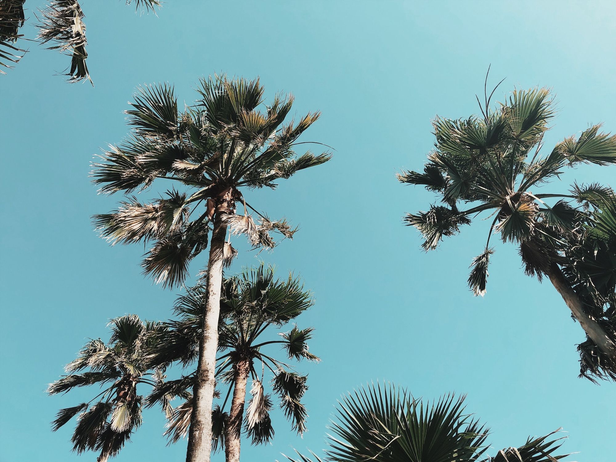 Spring Break Guide: Earn 15% Back on Vacation Must-Haves